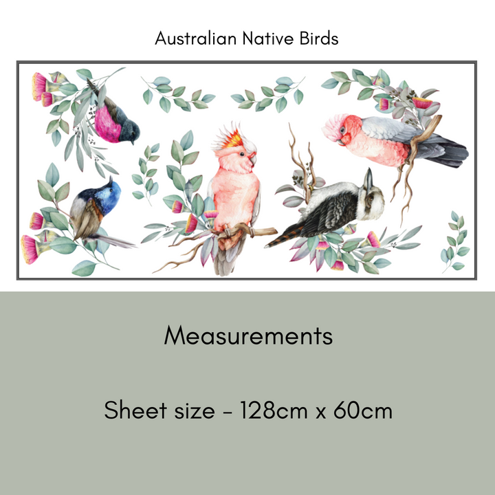 Sheet of Australian native bird illustrations with measurements on a light gray background