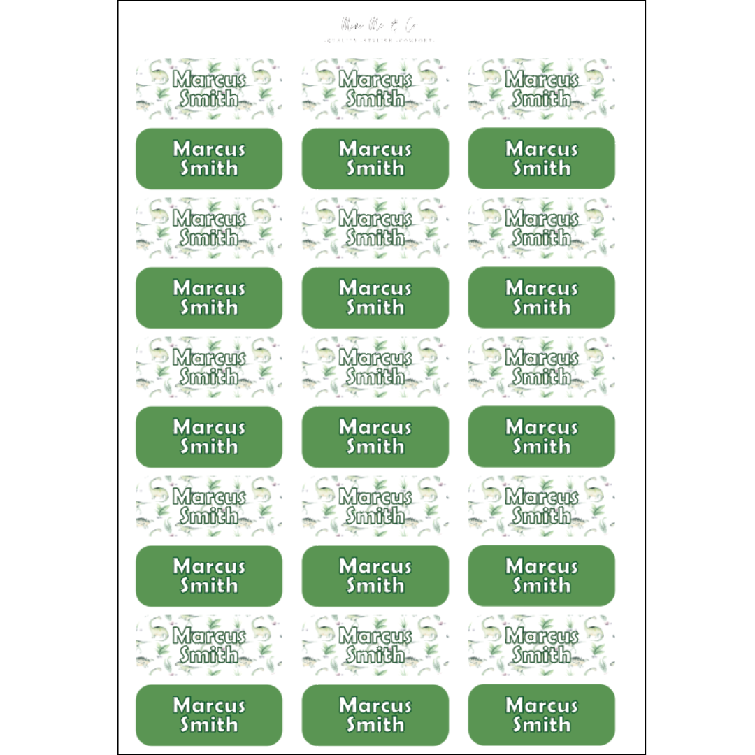 Dinosaur & Green Kids’ Name Label Stickers (55mm x 21.5mm – Pack of 30)