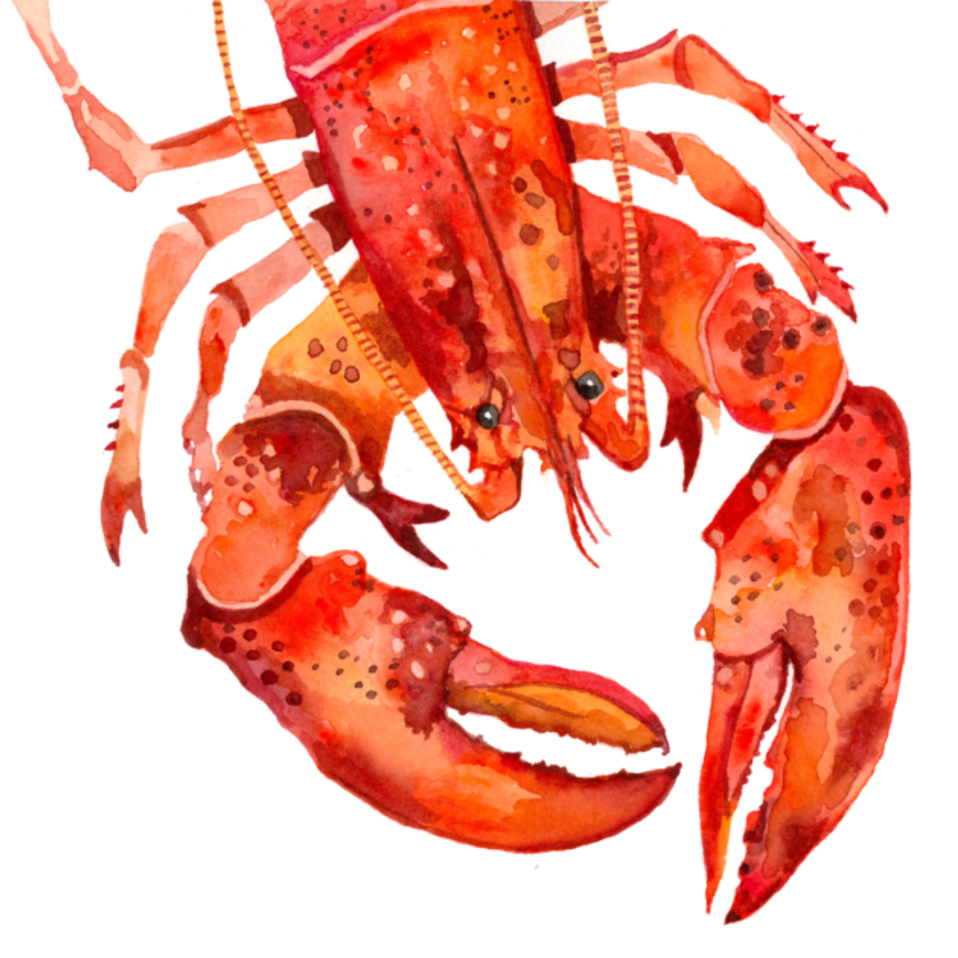 Louie the Lobster Wall Decal