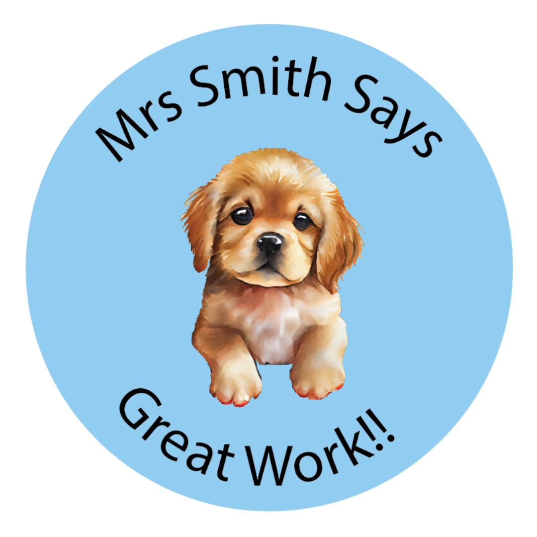 Personalised Teacher Stickers – Pack of 48