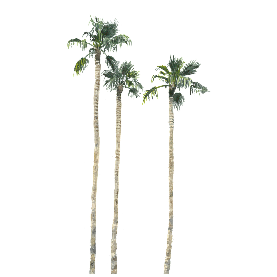 Cali Wall Decals