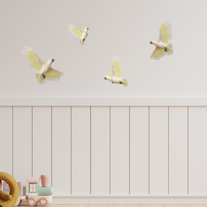 Cockatoo wall stickers featuring vibrant, detailed designs for nature-inspired nursery wall decor.





