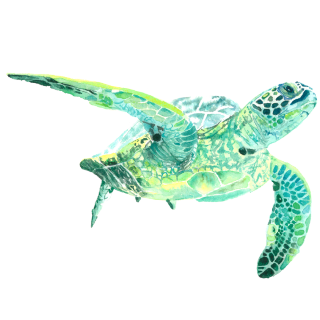 Georgia the Green Turtle Wall Decal