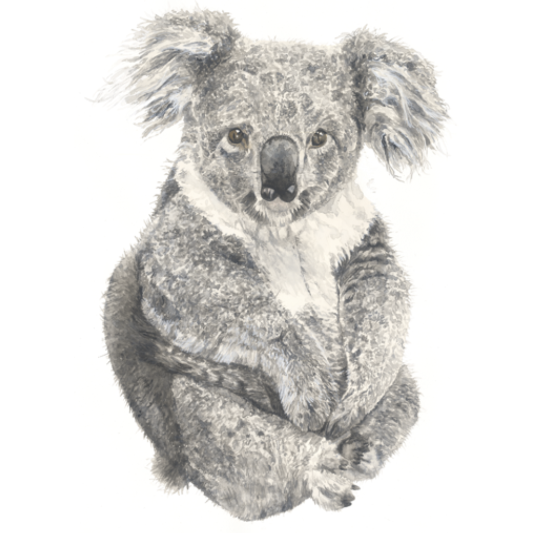 Kingsley the Koala Wall Decal