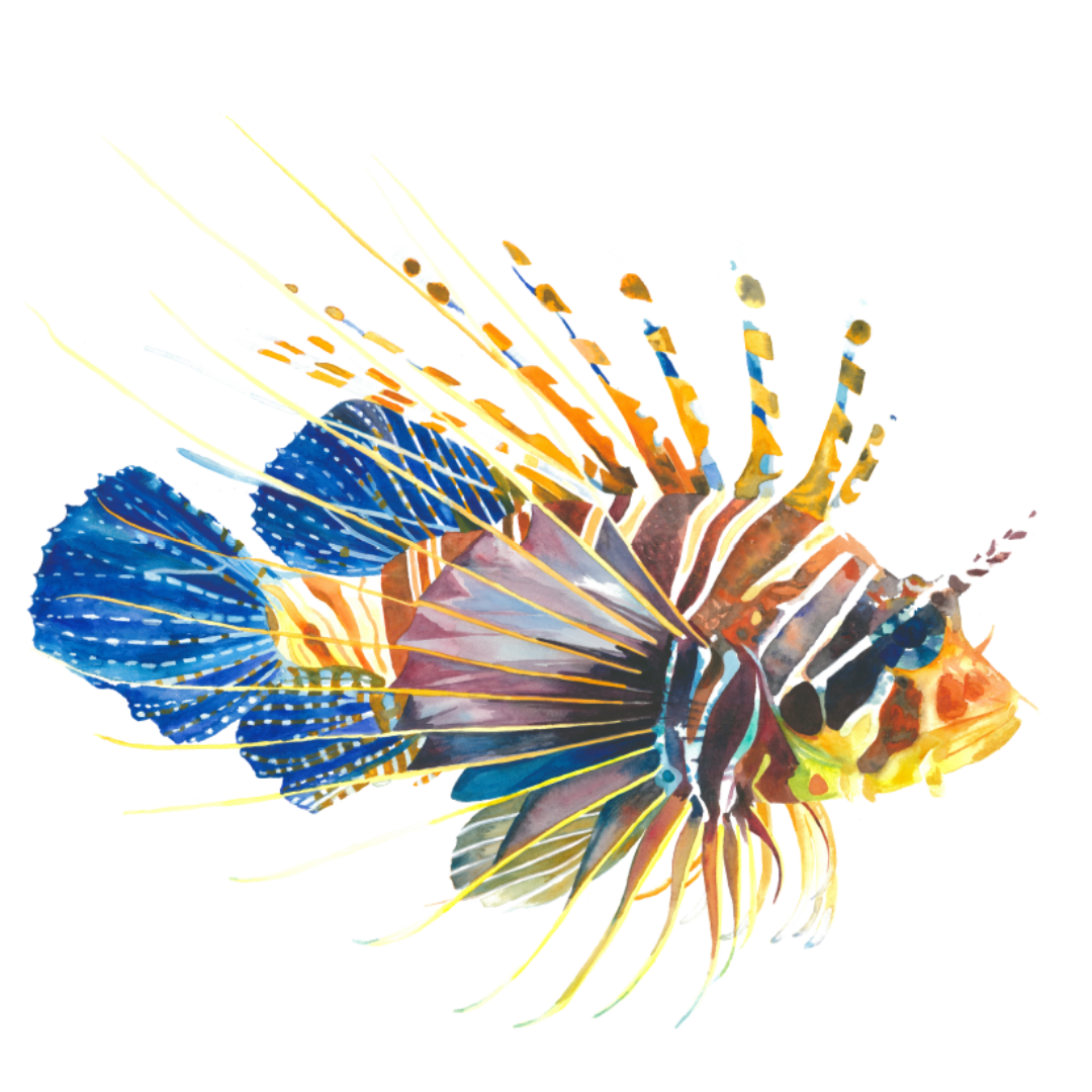 Levi the Lionfish Wall Decal