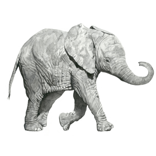 Lulu the Elephant Wall Decal