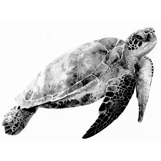Myrtle the Turtle Wall Decal