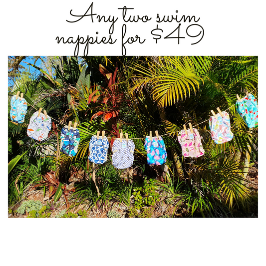 Any 2 Swim Nappies for $49